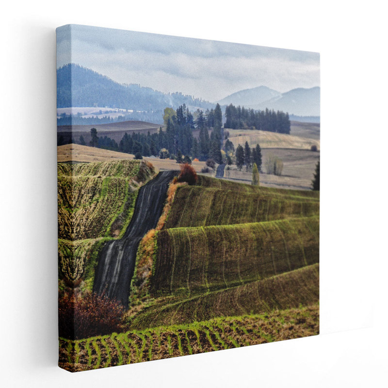 Palouse Hills - reproduction d'art sur toile, H 24 po x l 24 po