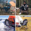 Chaise de camping pliante