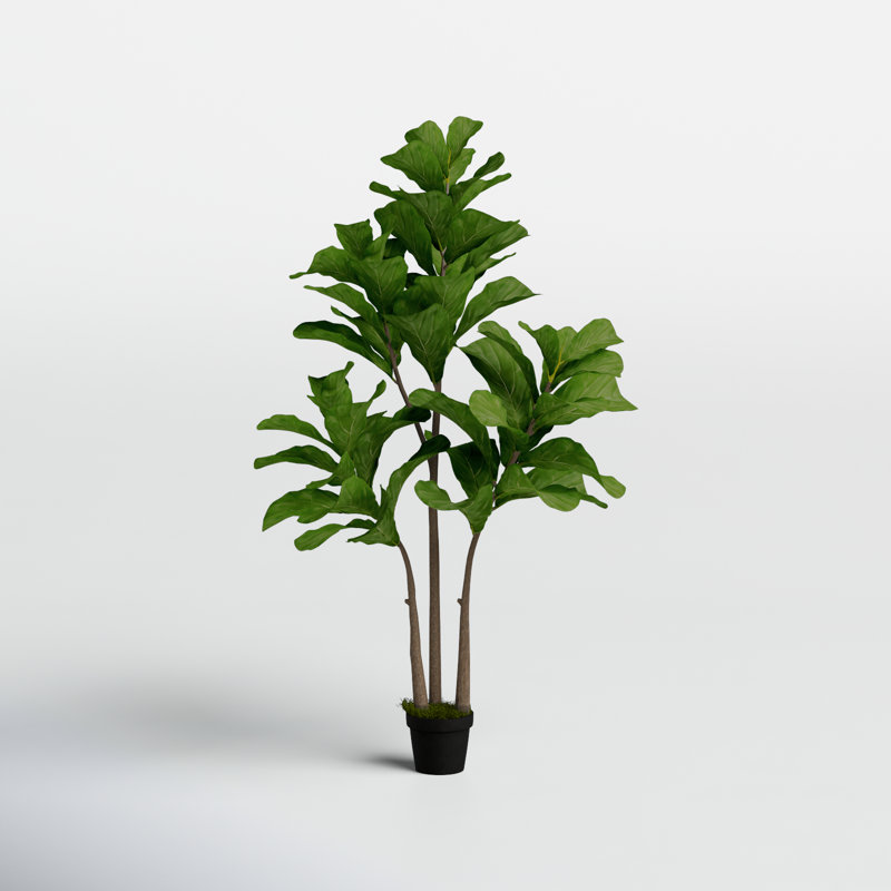 59.1'' Faux Fiddle-Leaf Fig Tree Tree in Cement Pot