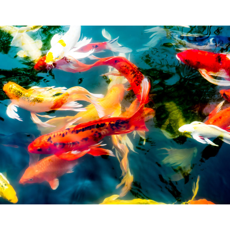 Décalcomanie murale art amovible koi étang, H 14 po x l 18 po