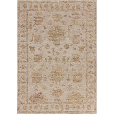 Bungalow Rose Wrobel Bone / Clay Area Rug