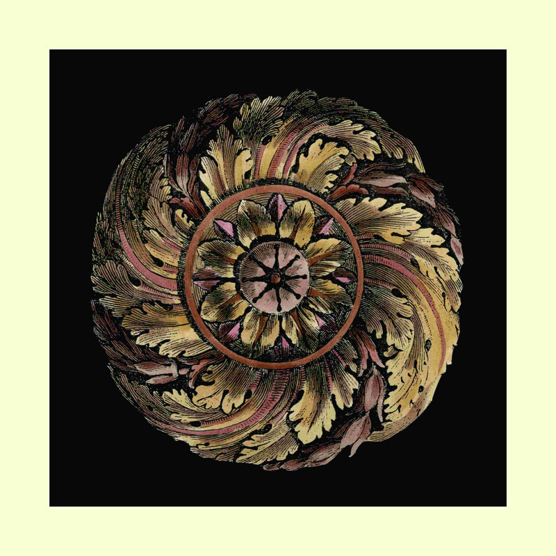 Petite rosette classique IV, H 12 po x l 12 po