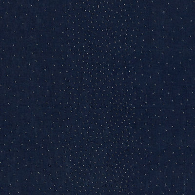 Northern Lights Fabric