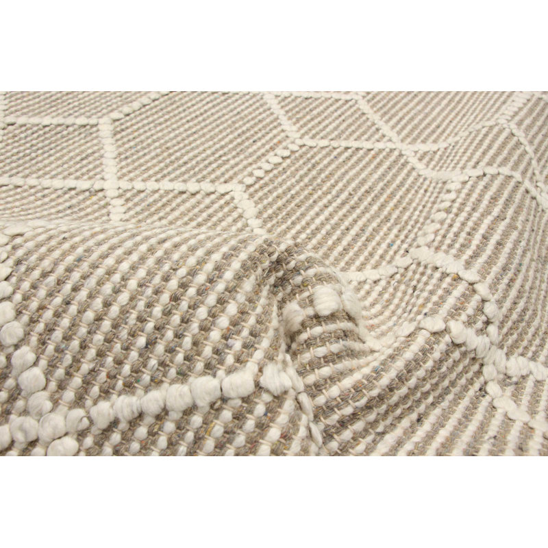 Hainer Performance Hand Braided Wool Geometric Rug