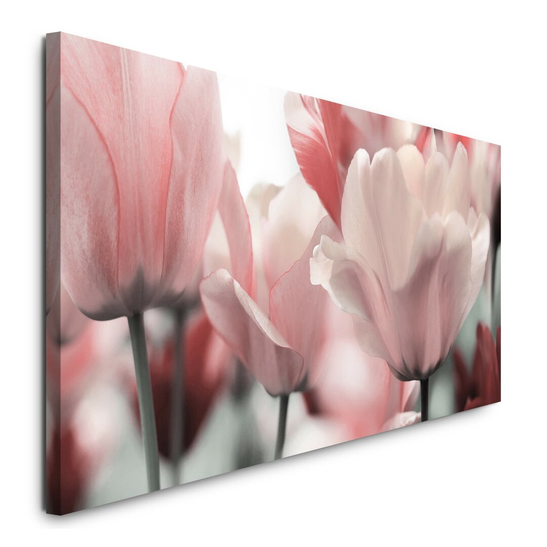 Leinwandbild Tulips