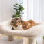 112cm H Cat Tree-569707830