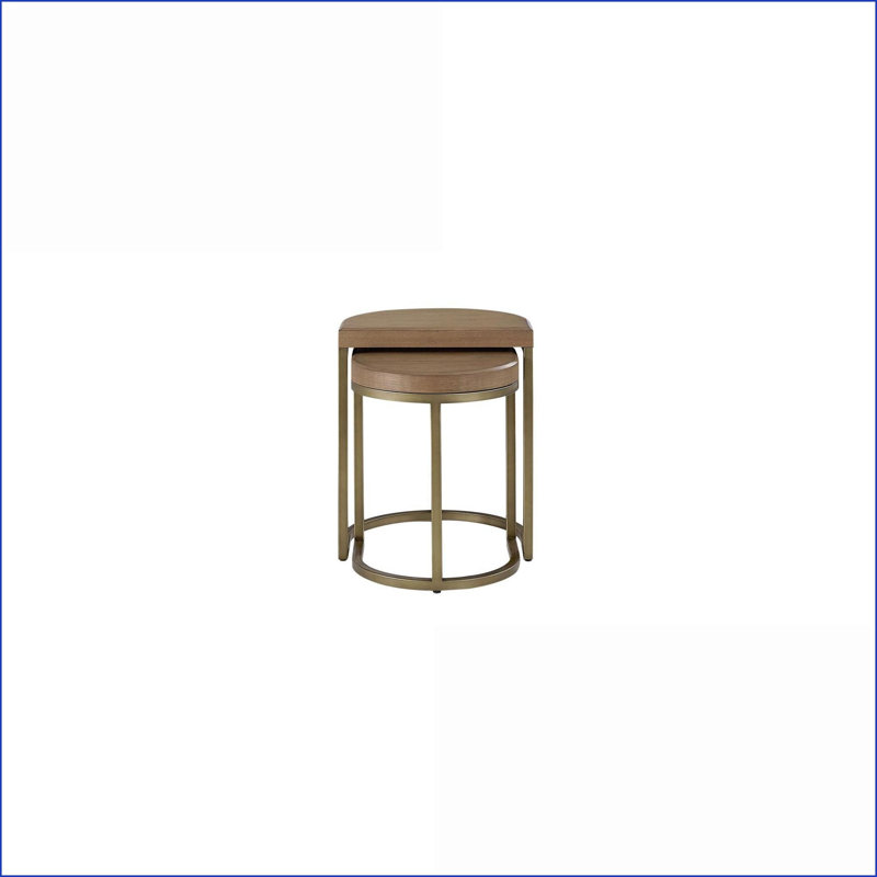 Ensemble de 2 tables basses en placage d'orme avec bases en métal