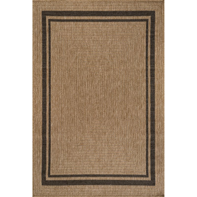 Indoor Outdoor Area Rug