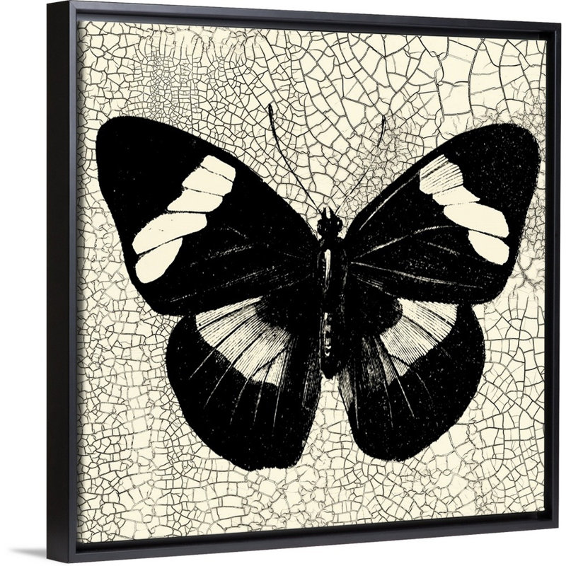 «Classical Butterfly III» par Studio Vision - reproduction d'art sur toile, Toile avec cadre noir, H 26 po x l 26 po x P 2 po
