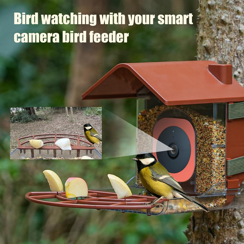 Mangeoire à oiseaux intelligente compatible Google Nest pour l'extérieur - Mangeoire à oiseaux avec boîtier pour caméra compatible, nichoir pour la faune (caméra non incluse)