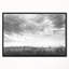 «Rapeseed Garden in Black and White», impression sur toile tendue-26692035