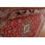 Tapis traditionnel 10 x 13