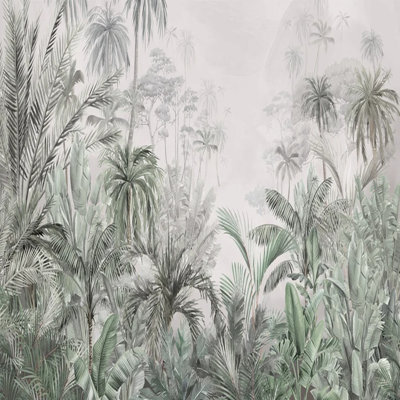 Tropical Misty Jungle