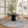 Machine Washable Indoor/Outdoor Mattis ACN2310 Abstract Rug