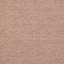 Scardino Adobe-599607010
