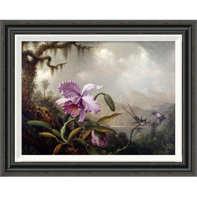 " Hummingbirds And Orchids " by Martin Johnson Heade