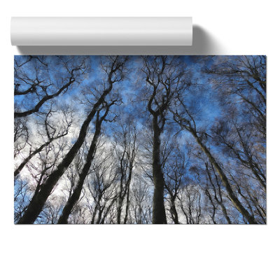 Beautiful Forest - No Frame Painting