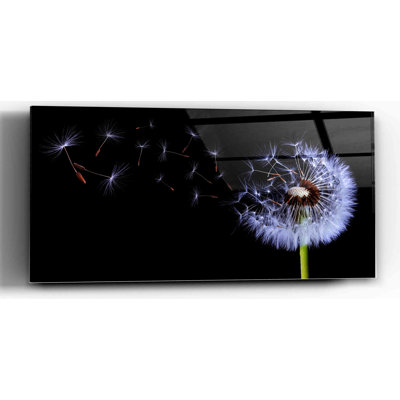 "Flying Dandelion" on High Gloss Acrylic Wall Art, 48" x 24"