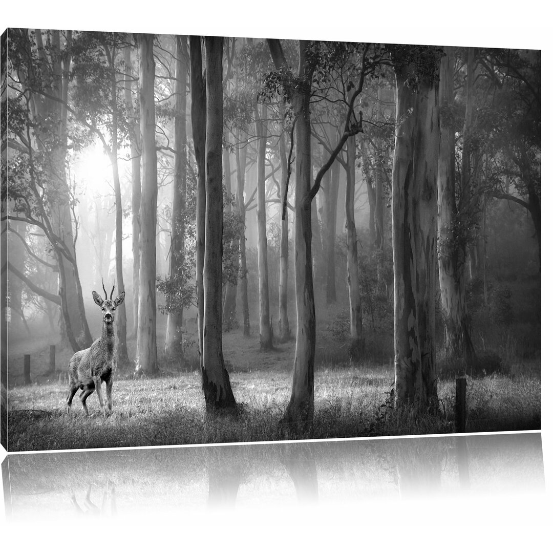 Leinwandbild „Einsamer Hirsch im tiefen Wald“, Fotodruck