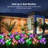 Low Voltage Solar Powered Integrated LED Pathway Light Pack