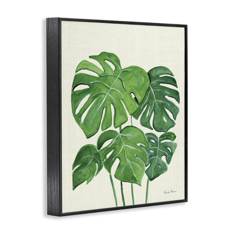 «Green Monstera» par Farida Zaman bg-021, H 14 po x l 11 po, Giclée encadrée noir minuit