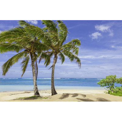 Tropical Beach by Dszc