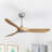 Tanquera 60'' Ceiling Fan
