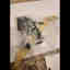 Photos des clients 3 de 4
