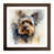 Walnut Framed