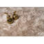 Tapis Shilo-119542838