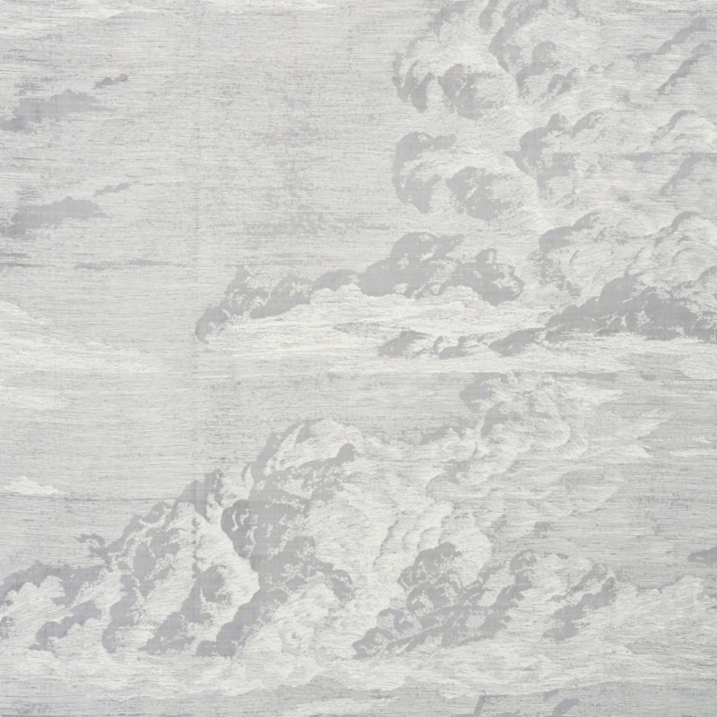Cloud Toile Fabric, Fog