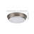 Angellyn Acrylic Flush Mount