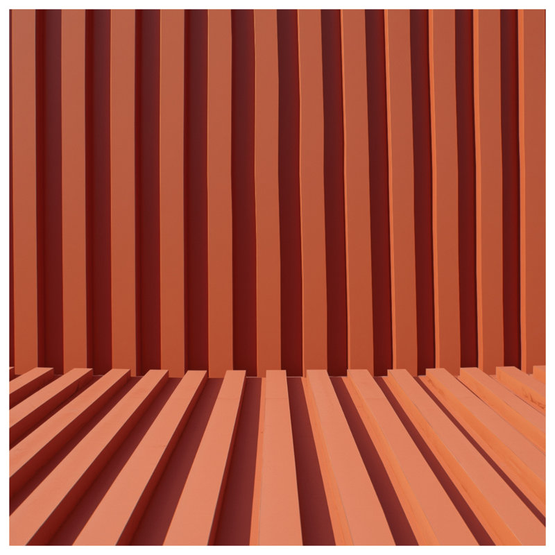 Coussins décoratifs à double face orange, 16 po x 16 po