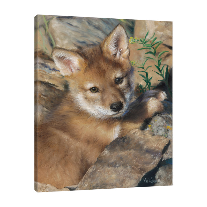 «Coyote Pup» par Valerie Warner - impression sur toile tendue, H 20 po x l 16 po x P 1,5 po