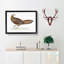 Argus Pheasant Illustration by John Edward Gray - Single Picture Frame Painting-55545050-55545056
