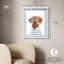 «Seabreeze Scout I Shadowbox Print Fun Dog» par Art Remedy, cadre blanc, 20 x 24-35456535-35456534