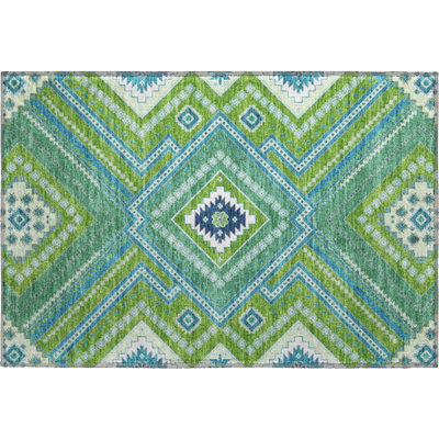 Premium Machine Washable Colmenero AMF1010 Tribal Rug