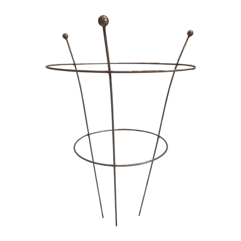 Annadiana Metal Plant Support
