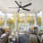Aaron 56" Black Indoor/Outdoor Waterproof Plug-in Ceiling Fan with Light and Remote & App Control for Patio/Gazebo/Pergola