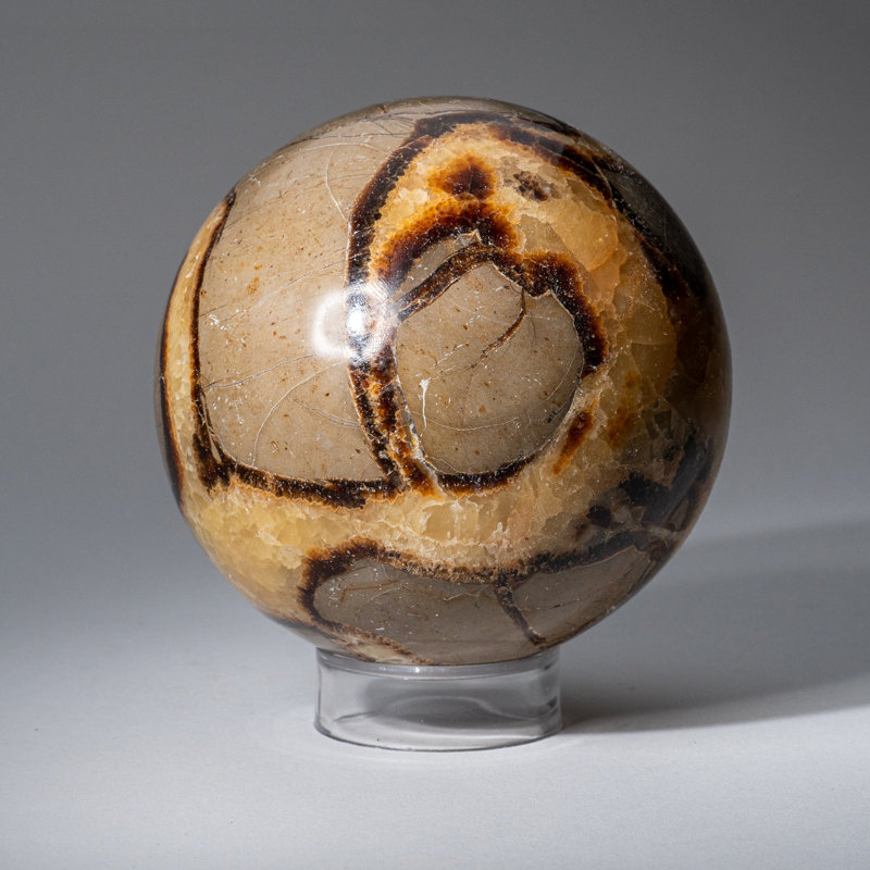 Genuine Polished Septarian (2") Sphere from Madagascar, 3.5" H x 3.5" W x 3.5" D, Brown/Gray/White