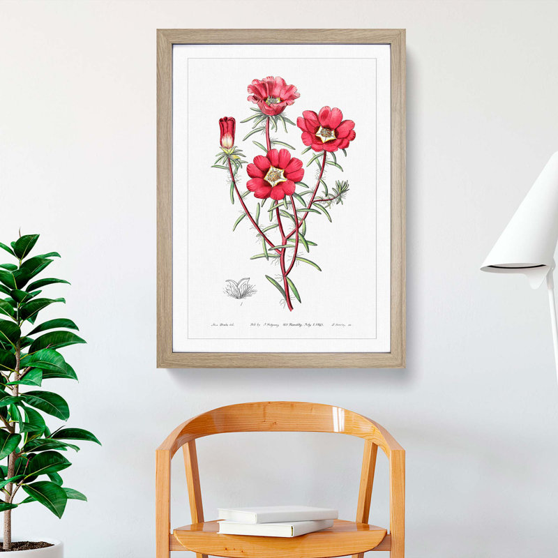 Pink Rose Moss Flowers - Framed Print, 36cm H x 27cm W x 2cm D, Oak Framed