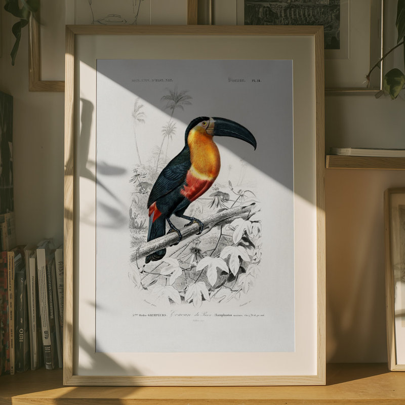 Wrapped Canvas Print, 91.44 cm H x 60.96 cm W