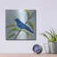 Art mural luxueux «Indigo Bunting» par Jeanette Vertentes, 36 po x 36 po-1773265757