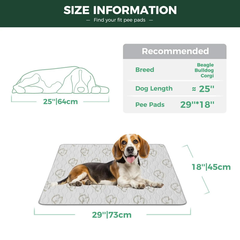 Protège-peluche lavable pour chiens, coussins de chiots avec super absorbant, spécialement conçu pour les cages de 30 pouces, rectangulaire de 18 po x 29 po, kaki, 2 paquets