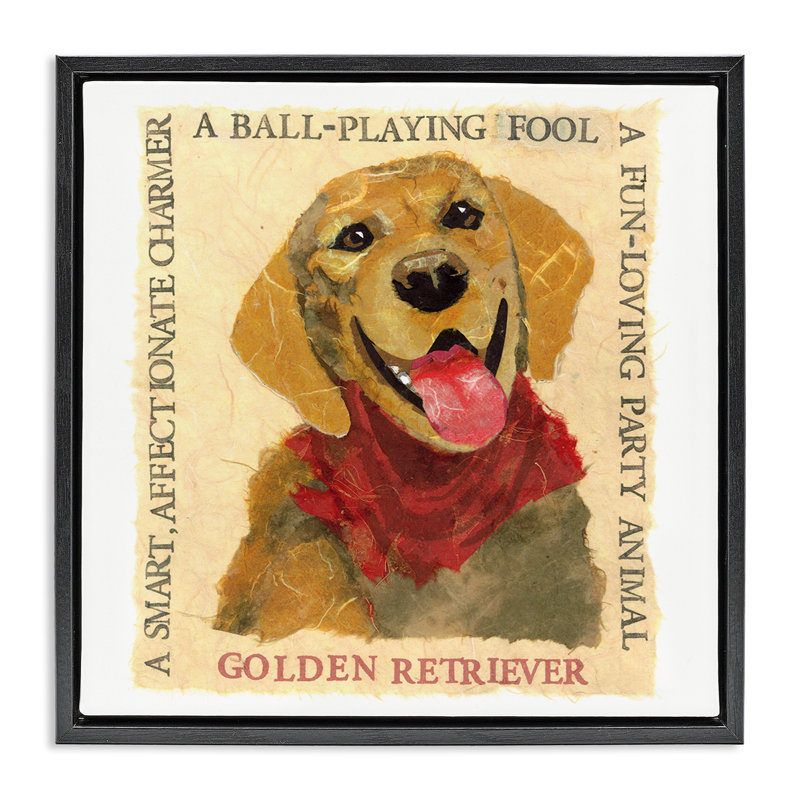 "Fun Golden Retriever", art mural encadré flottant par Nancy Overton, Cadre flottant noir de jais, H 25 po x l 25 po