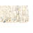 Sienna Cream Rug 4'11" x 7'10"