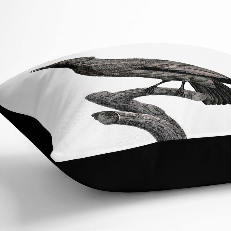 Square Throw Cushion, Black, 40cm H x 40cm W x 15cm D