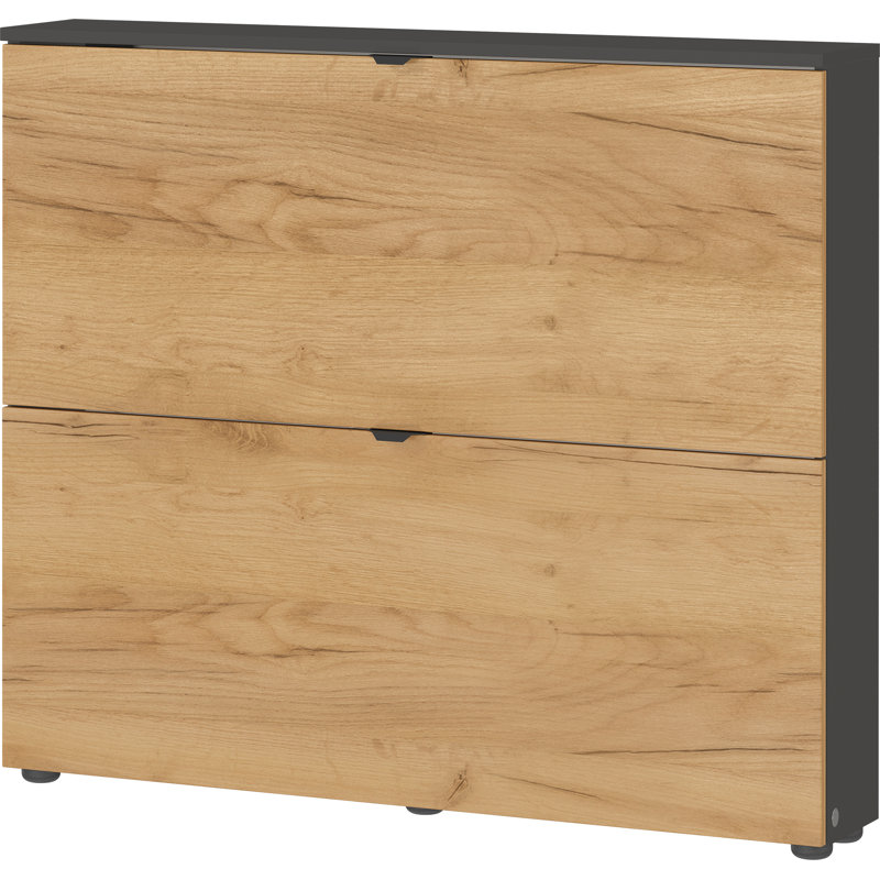 Aryauna 8 Pair Shoe Storage Cabinet