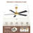 Rolanda 52 Inch Modern Ceiling Fans with Lights and Remote Control, DC Reversible Motor, Noiseless,Ceiling Fan for Bedroom, Living Room, Apartment-1378860252