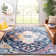 Haneul Performance Oriental Rug
